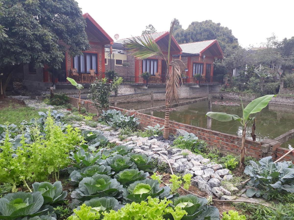 Chez Hiep Tam Coc Homestay Ninh Binh Esterno foto